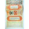 Image 2 : City of Tampa, County of Hillsborough, 1899 Specimen Bond.