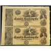 Image 1 : New Orleans Canal & Banking Co. uncut sheet.