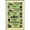 Image 1 : Morris County Bank, Uncut Sheet of 4, 1858-60's Full Tint Unissued Banknotes.