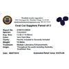 Image 2 : 18.56ctw Oval Cut Sapphire Parcel