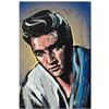 Image 3 : Elvis Presley (Blue Suede) by David Garibaldi
