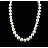 Image 1 : 14KT White Gold Pearl Necklace