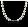Image 2 : 14KT White Gold Pearl Necklace