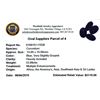 Image 2 : 33.89ctw Oval Mixed Blue Sapphire Parcel