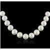 Image 2 : 14KT White Gold Pearl Necklace