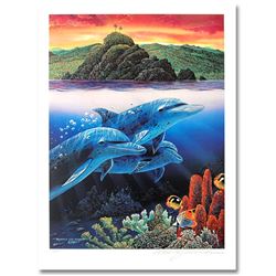 Dolphins of Alau by Robert Lynn Nelson