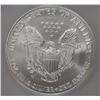 Image 3 : 2007-W SILVER AMERICAN EAGLE ICG SP-69
