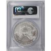 Image 4 : 2006 AMERICAN SILVER EAGLE, PCGS MS-70 PERFECT!