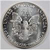 Image 2 : 1987 SILVER AMERICAN EAGLE