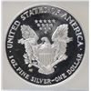 Image 3 : 2007-W PROOF SILVER AMERICAN EAGLE ICG PR-69 DCAM