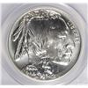 Image 2 : 2001-D BUFFALO COMMEN DOLLAR PCGS MS-69