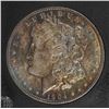 Image 2 : 1904-O MORGAN DOLLAR CCGS SUPERB BU, SUPER COLOR
