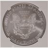 Image 3 : 2010 SILVER AMERICAN EAGLE NGC MS-70 !!!!!