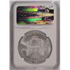Image 4 : 2010 SILVER AMERICAN EAGLE NGC MS-70 !!!!!