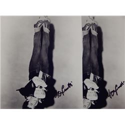 Lot of 2 Tony Curtis "Houdini" Signed 11x14 Photos