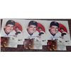 Image 1 : Lot of 3 Ted Williams Signed 8x10 Photos Global