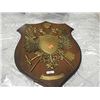 Image 1 : COAT OF ARM PLAQUE