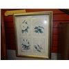 Image 1 : FRAMED PICTURE - FLOWERS