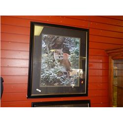 FRAMED PRINT - LION