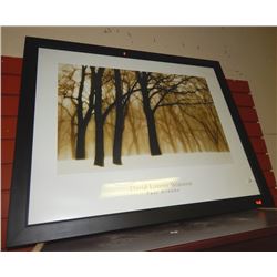 FRAMED PRINT - DAVID LORENZ WINSTON - DUST DREAMS