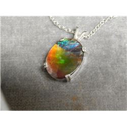 NECKLACE FROM ESTATE - AMMONITE (measures 20x15mm) PENDANT SET IN STERLING SILVER - INCLUDES ORIGINA
