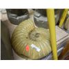 Image 1 : CONCRETE - SNAIL