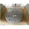 Image 1 : CONCRETE - SAND DOLLAR