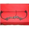 Image 2 : BARNETT COMPOUND BOW
