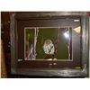 Image 1 : FRAMED PRINT - OWL - KEITH FOCANK -  GALLERY ESTIMATE ~$575