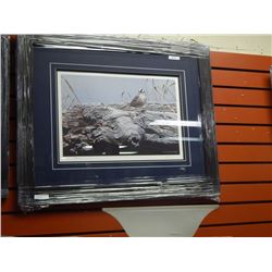 FRAMED LIMITED EDITION PRINT - WHITE CROWND SPARROW ON DRIFT WOOD - RON PARKER - GALLERY PRICE ~$475