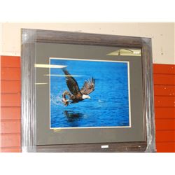 FRAMED PRINT - CATCH OF THE DAY - JAMES T. JONES -  GALLERY ESTIMATE ~$575