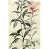 Image 5 : WC Paper Scroll Flowers Puru & Zhang Daqian