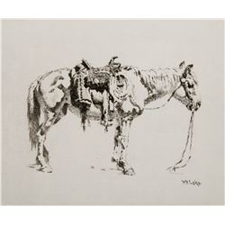 Navajo Pony