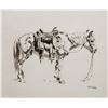 Image 1 : Navajo Pony
