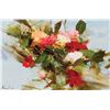 Image 1 : Carnations