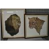 Image 1 : Two framed limited edition prints including a leopard 670/750 and a lion 85/750 pencil signed by art