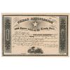 Image 1 : Texas Association Stock Certificate
