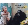 Image 1 : Jane Goodall