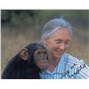 Image 2 : Jane Goodall