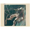 Image 5 : Gemini 4 Set of Five Sequential Spacewalk Photographs