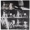 Image 1 : Apollo 11 Original NASA Photographs of Neil Stepping on the Moon