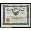 Image 1 : Santa Anna Mining Company (Arizona) An attractive multi colored certificate issued in 1900 for one s