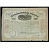 Image 1 : National Petroleum Association (Pennsylvania) A 1866 dated certificate in black and purple. The cent