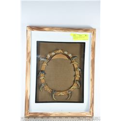 FRAMED FAUX BEAR CLAW NECKLACE