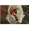Image 1 : BAG OF 1964 ROYAL CANADIAN MINT PENNIES