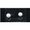 Image 1 : GRAY SEA SHELL PEARL EARRINGS - 10MM