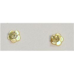 14KT GOLD DIAMOND (0.20CT) EARRINGS W/ MOTHER OF