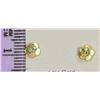 Image 2 : 14KT GOLD DIAMOND (0.20CT) EARRINGS W/ MOTHER OF
