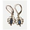 Image 1 : 14KT WHITE GOLD SAPPHIRE (1.20CT) EARRINGS