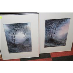 PAIR OF FOREST SCENE FRAMED PICTURES